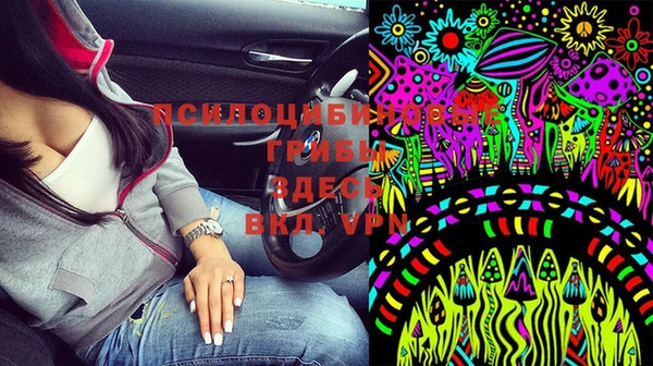 сатива Алексеевка