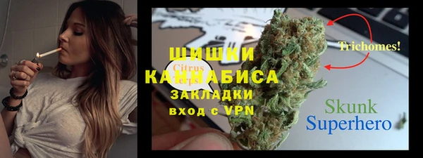 ГАЛЛЮЦИНОГЕННЫЕ ГРИБЫ Ростов
