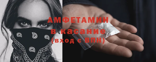 сатива Алексеевка