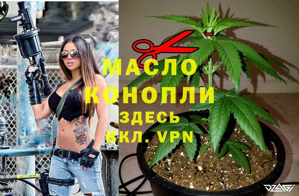 метадон Алексин