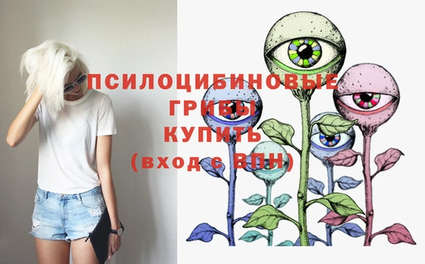 сатива Алексеевка