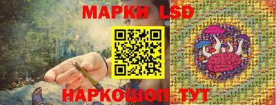 mdpv Заводоуковск