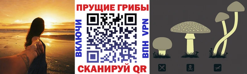 Галлюциногенные грибы MAGIC MUSHROOMS  Беслан 