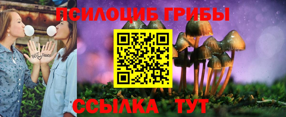 Беслан  Псилоцибиновые грибы мухоморы  цены наркотик  Вход с VPN 